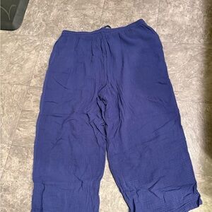 Jessica Simpson Womens Flowy Blue Pants 2X